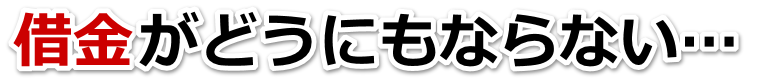 不安で寝られない。借金が返せない。八幡平市で弁護士や司法書士に無料で相談する